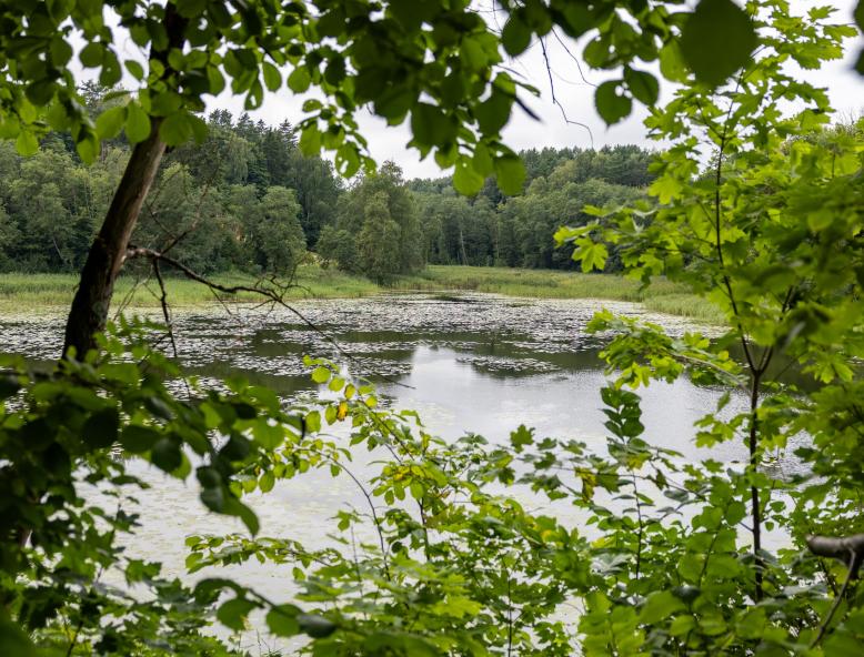 Vilniuje tvarkys Jeruzalės tvenkinio parką